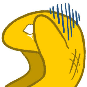 きゃたぬき