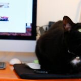 【メルカリ】初心者のうちに知っておきたかった事