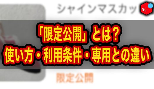 【メルカリ】限定公開とは？使い方・利用条件・専用出品との違いを解説